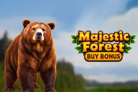 RollinBets — Majestic Forest Buy Bonus